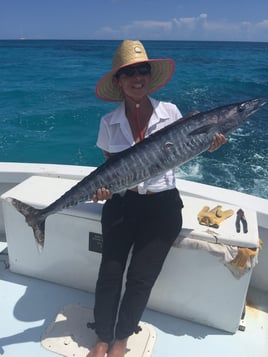 Wahoo Fishing in Key West, Florida