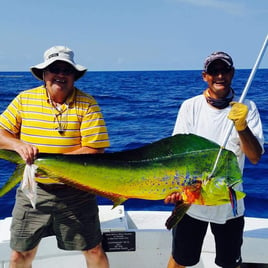 Mahi Mahi Fishing in Key West, Florida