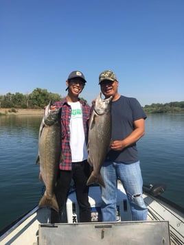 Sacramento River Kings on the Fly