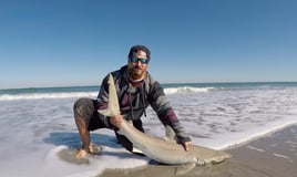 Surf Fishing Success