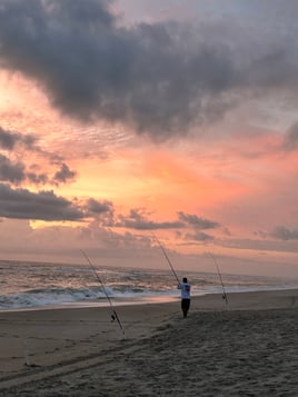 Surf Fishing - 3 Hours