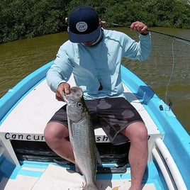 Tarpon Fishing in Cancún, Mexico