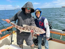 Marin County Bay Trip