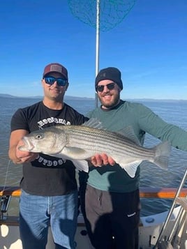 Marin County Bay Trip