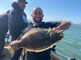 Marin County Bay Trip