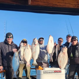 Marin County Bay Trip