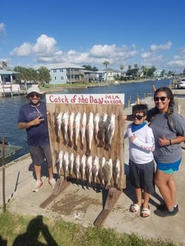 Black Drum, Redfish Fishing in Rockport, Texas