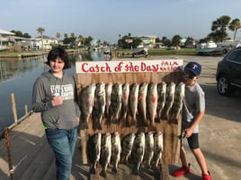 Black Drum, Redfish Fishing in Rockport, Texas