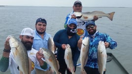 Redfish Fishing in Rockport, Texas