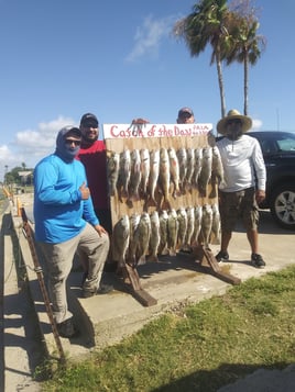 Black Drum, Redfish Fishing in Rockport, Texas