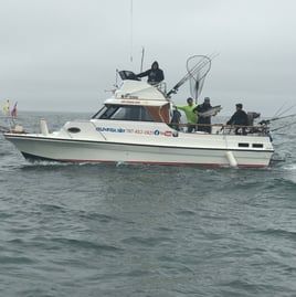 Marin Salmon Fishing