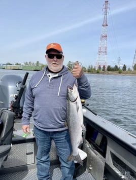 Columbia River Chinook Salmon