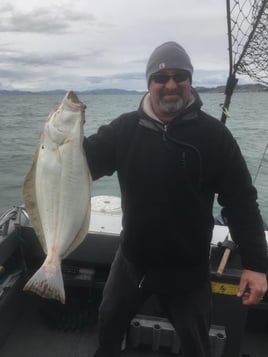 Striped Bass and Halibut Roundup