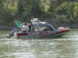 Striped Bass and Halibut Roundup