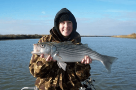 Striped Bass and Halibut Roundup