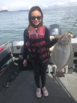 Striped Bass and Halibut Roundup