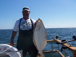 Striped Bass and Halibut Roundup