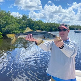 Snook Fishing in Punta Gorda, Florida