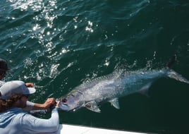 Tarpon Fishing in Punta Gorda, Florida