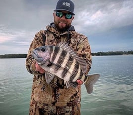 Sheepshead Fishing in Punta Gorda, Florida