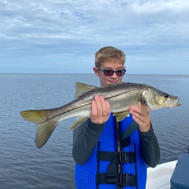 Snook Fishing in Punta Gorda, Florida