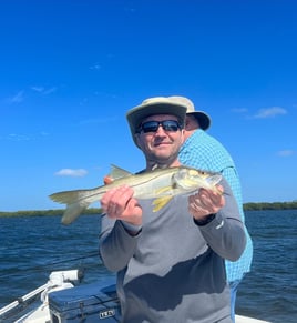 Snook Fishing in Punta Gorda, Florida