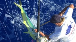 Mahi Mahi Fishing in Lahaina, Hawaii