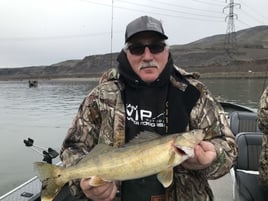 Columbia River Trophy Walleye