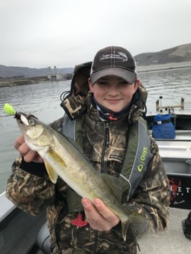 Columbia River Trophy Walleye