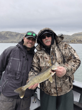 Columbia River Trophy Walleye