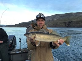 Columbia River Trophy Walleye