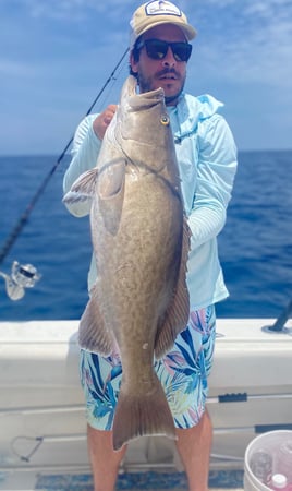 Tampa Bay Nearshore Run