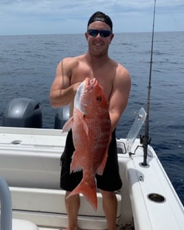 Red Snapper Fishing in St. Petersburg, Florida