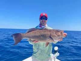 Tampa Bay Nearshore Run