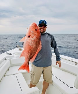 Red Snapper Fishing in St. Petersburg, Florida