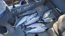 Columbia River Salmon Fishing