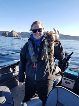 Seabass & Lingcod Bottom Fishing