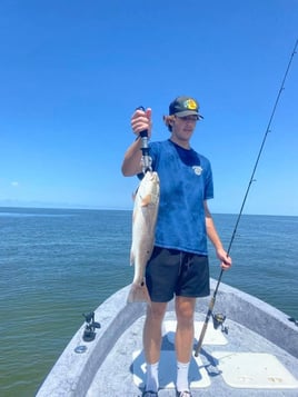 Redfish Fishing in Crystal River, Florida