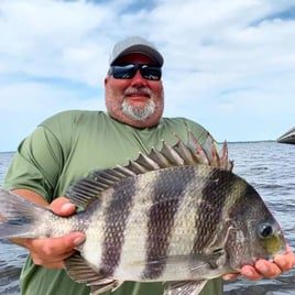 Sheepshead Fishing in Santa Rosa Beach, Florida