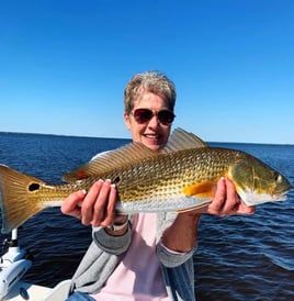 Redfish Fishing in Santa Rosa Beach, Florida