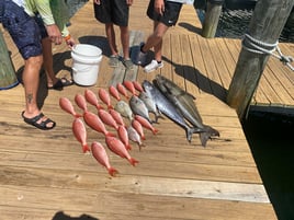 Destin Gulf Fishing