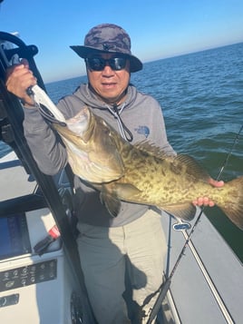 Gag Grouper Fishing in Crystal River, Florida