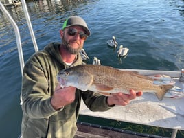 Redfish Fishing in Crystal River, Florida