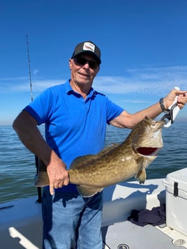 Gag Grouper Fishing in Crystal River, Florida