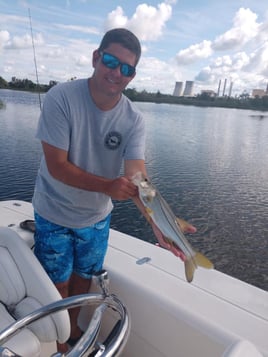 Snook Fishing in Crystal River, Florida