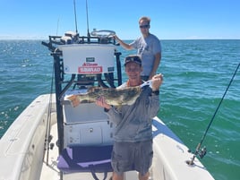 Gag Grouper Fishing in Crystal River, Florida