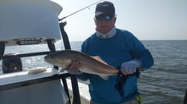 Redfish Fishing in Crystal River, Florida