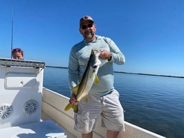 Snook Fishing in Crystal River, Florida