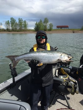 Spring and Fall Salmon and Steelhead