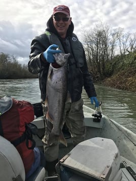 Spring and Fall Salmon and Steelhead